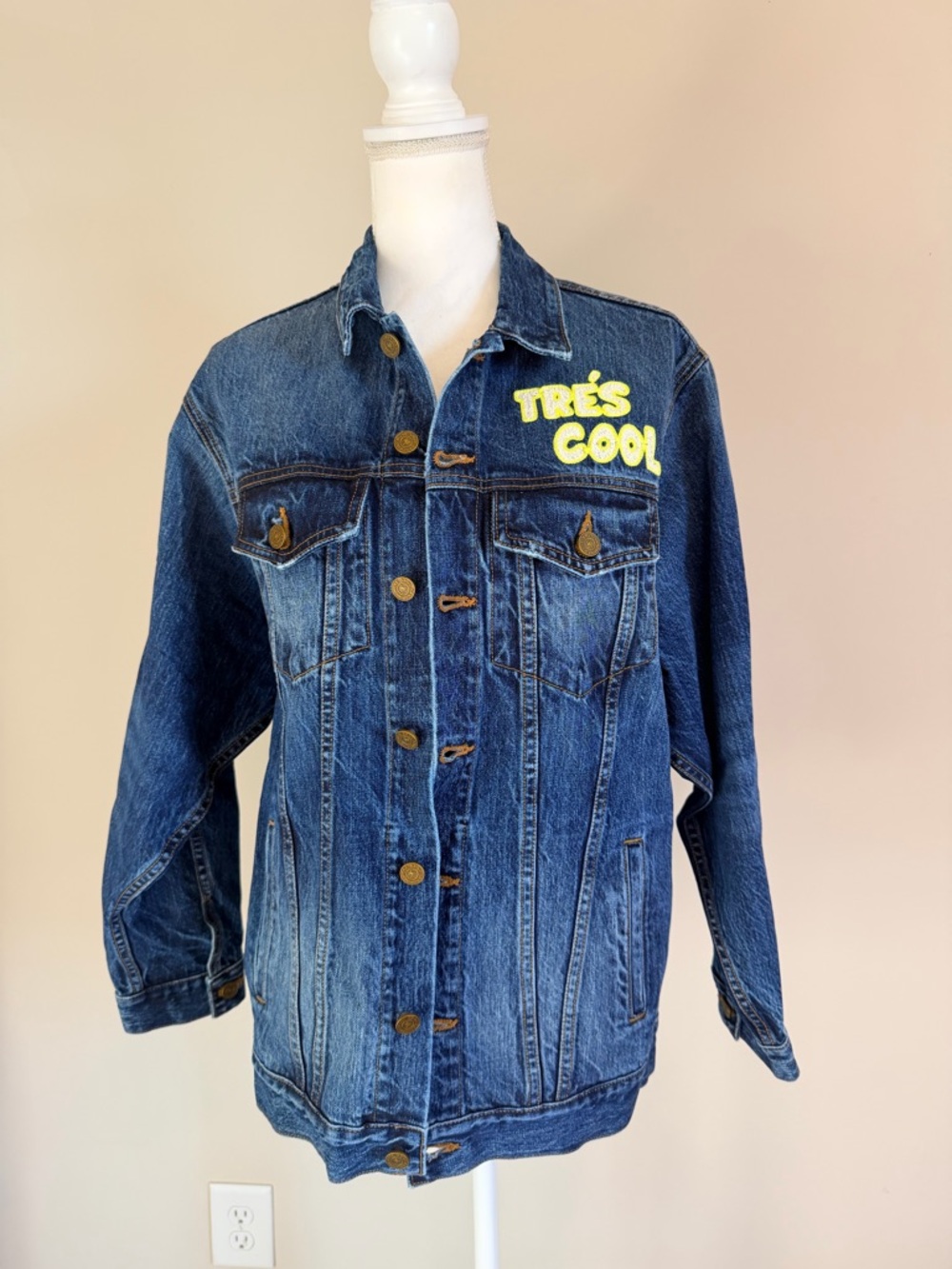 Sandrine Rose Free People Collab Tres Cool Oversized Jean Jacket Size Small NWT - Picture 2 of 7
